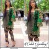 pakistani dresses