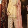 pakistani dresses