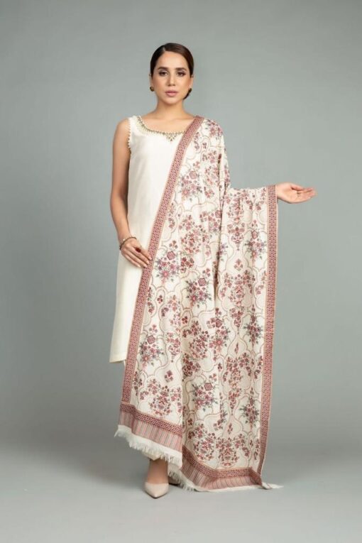 bareeze dhanak suit